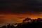 sunset with red and blue dramatic sky, silhouette against the light, shadow of trees, background, colorful, mexico,