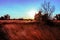 Sunset in red vibrant lawn with dry grass shining