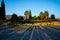 Sunset reflecting on the trees in Pamukkale valley