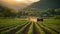 Sunset Reflections: Farmer Tending to Sustainable Farm at Day\\\'s End
