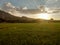 Sunset in the rice field