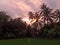 sunset in the rice field