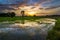 Sunset at rice field