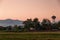 Sunset at rice field on rainy season