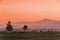 Sunset at rice field on rainy season