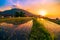 Sunset on rice fields on Jatiluwih terraced of Ubud, Bali, Indonesia