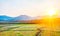 Sunset in the rice fields, Sumedang, Indonesia