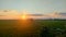 Sunset in ricefield with beautiful cloud in landscape