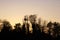 Sunset river banks with trees silhouettes on river seine near Paris france