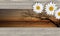 Sunset, river, white daisies on wood