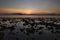 sunset on the rocky beach sumbawa island