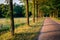 Sunset at a romantic path in Duch summer landscape Twente