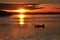 Sunset at it\'s best in Pucon, Chile