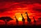 Sunset Safari: A Vibrant Encounter with Giraffes, Lions, and Afr
