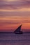 Sunset sail near Zanzibar Island