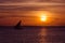 Sunset sail near Zanzibar Island