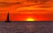 Sunset Sailboat Ocean Bird Nature Landscape