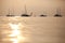 Sunset sailboats