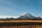 Sunset in Sajama National Park, Bolivia. Picturesque view of Nevado Sajama volcano mountain, highest peak in Bolivia 6,542 m