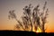 Sunset in sand desert