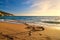 Sunset on sandy beach, piece of driftwood washed by tidal waves. Hazy clouds, golden sand, rocky cliffs, peace and