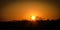 Sunset Savana _ Zimbabwe