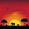 Sunset on a savanna