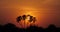 Sunset on Savannah, Masai Mara Park in Kenya,
