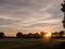 a sunset scene outside in a farm field of green crop and a golden hue and wonderful vibrant colors that are serene natural and pe