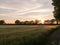 a sunset scene outside in a farm field of green crop and a golden hue and wonderful vibrant colours that are serene natural and p