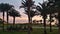 Sunset scene with palm trees in resort hotel, Naama Bay