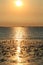 Sunset at sea and birds at the mudflats at a hot summer evening