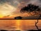 Sunset at sea cloudy orange sky moon and tree silhouette  countryside wooden house on horizon  moon at evening nature landscape