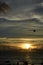 Sunset at sea. Parachute. Free flight