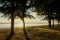 Sunset at sea with trees sway at Chaolao Tosang Beach Chanthaburi Thailand for nature background or texture.