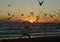 Sunset with seagulls on the beach of Caparica, Portugal