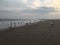 Sunset with Seagulls in Spring at Coney Island in Brooklyn, New York, NY.