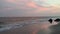 Sunset with seagulls in spring at Coney Island in Brooklyn, New York, NY.