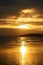 Sunset on the seashore.People are looking for beautiful shells on the bottom at low tide