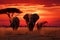 Sunset serenity Elephants leisurely feeding in the African savannah twilight