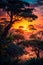 Sunset serenity: trees in the forest at dusk