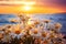 Sunset Serenity: A Vibrant Display of Daisies, Sun Rays, and Oce