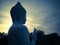 Sunset Shine On Big White Buddha Statue In The Garden Of Buddhist Temple In The Evening