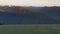 a sunset shot of deer grazing at hurricane ridge in the olympic national park