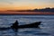 Sunset and silhouette on boat cruising the Amazon River, Brazil