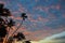 Sunset with silhouette of coconut trees at Thailand beach, Samui island