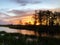 sunset silhouette in the cypress swamp