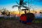 Sunset and silhouette of farmer loading truck