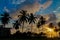 Sunset silhouette of palm trees in tropics