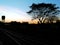 Sunset and silhouette of trees and Railroad tracks